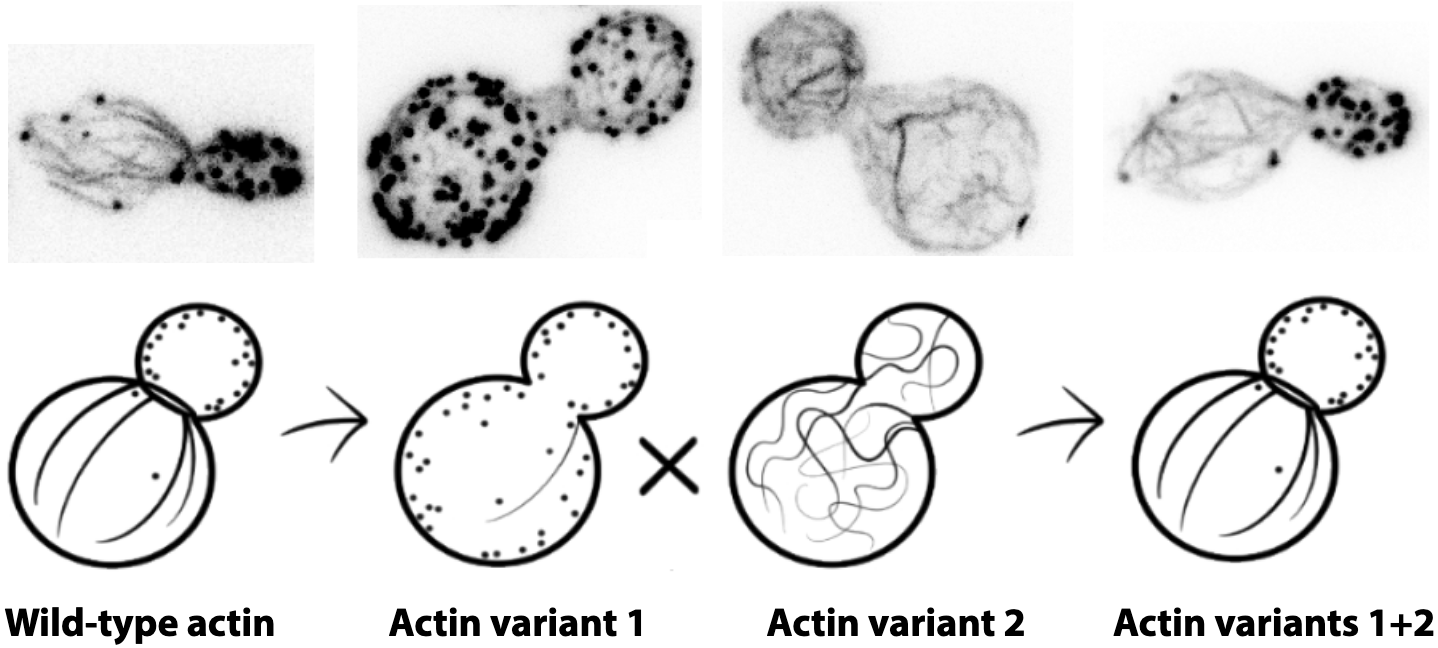 Michelot-et-al